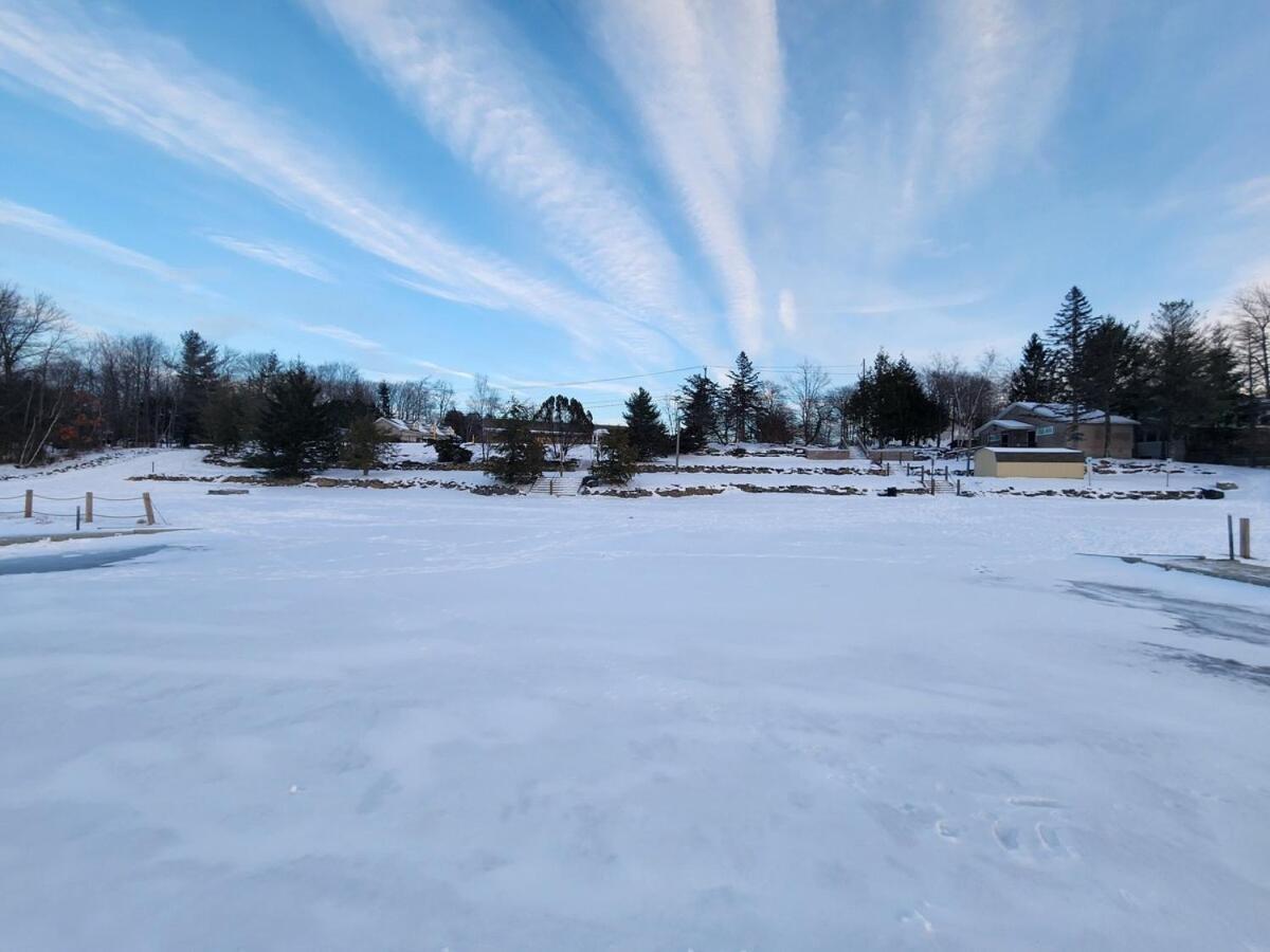 Deer In The Heart Of Pocono Tobyhanna