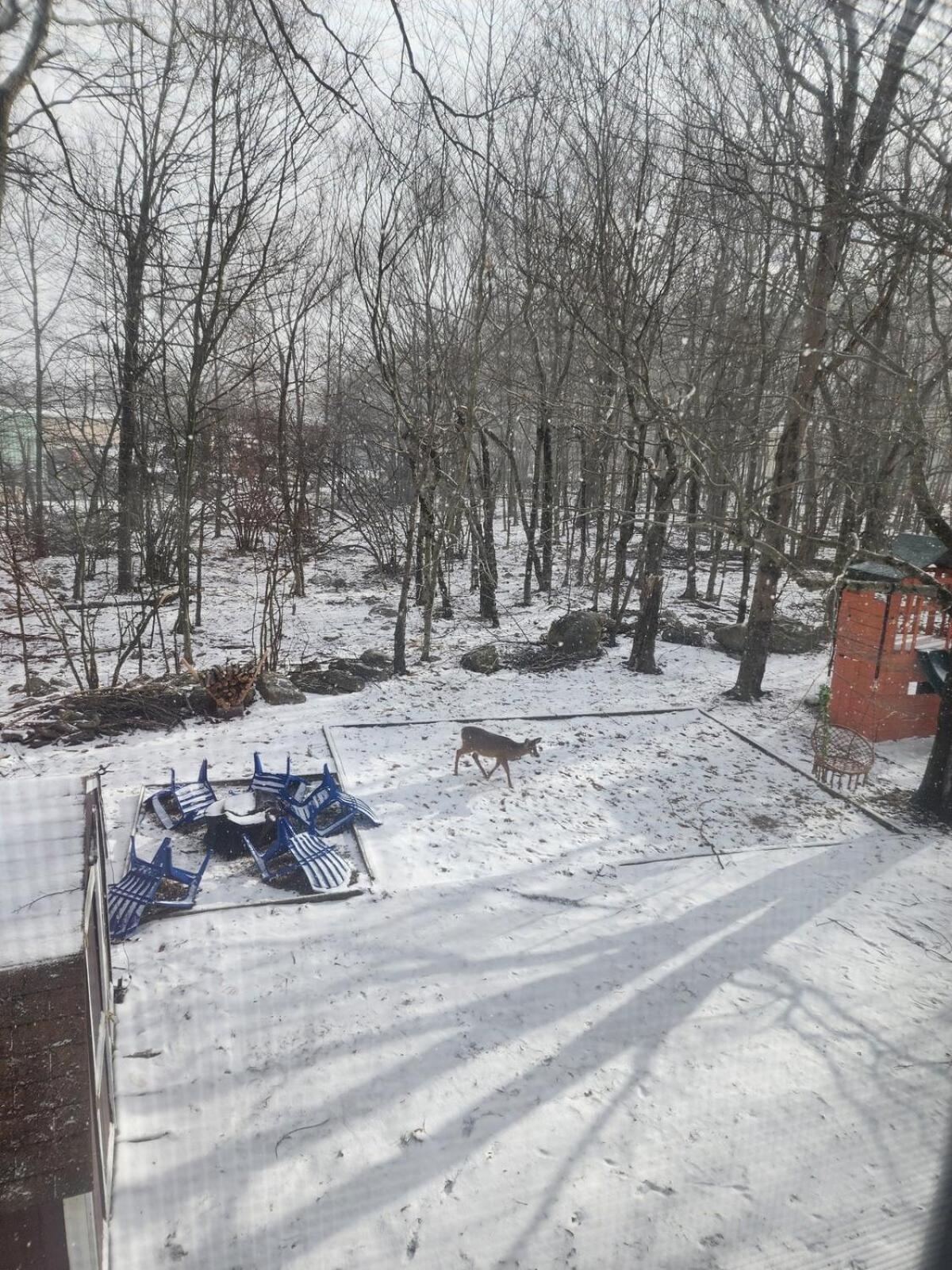 Deer In The Heart Of Pocono Holiday home Tobyhanna